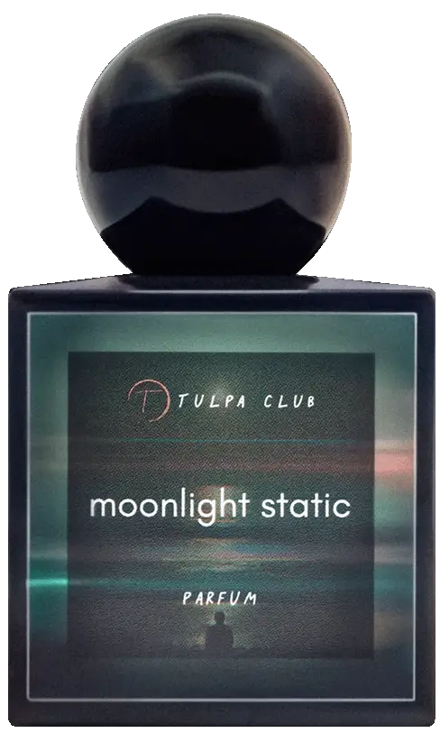 season_3_moonlight_static